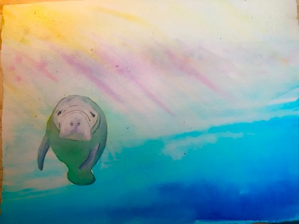 Gentle manatee swimming toward the viewer