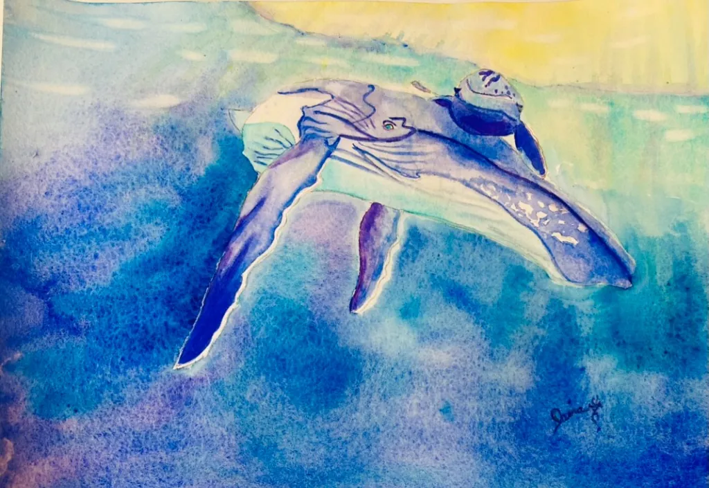 Whale swimming with baby whale