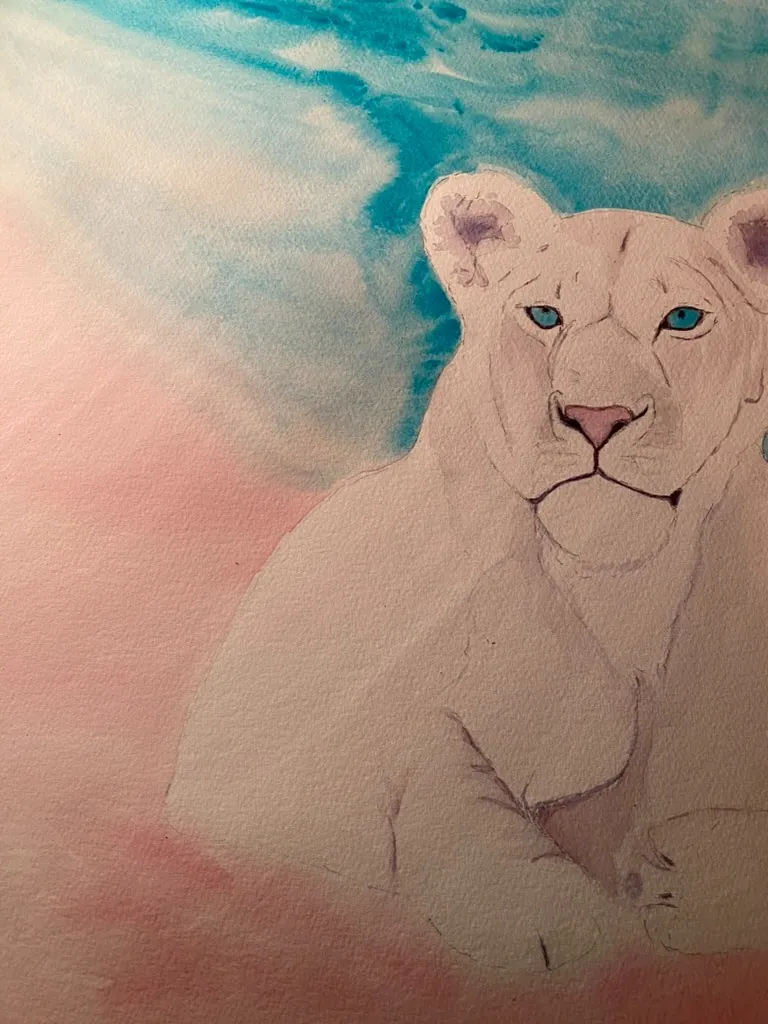 Beautiful white lioness under blue and pink sky